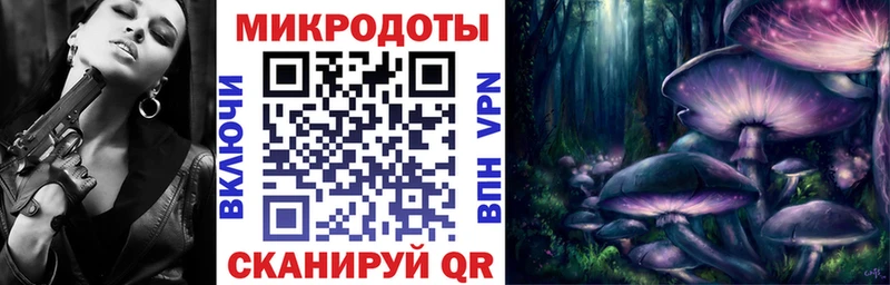 как найти закладки  Новокузнецк  Псилоцибиновые грибы мицелий 